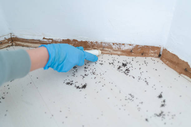 Best Commercial Pest Control  in Allegan, MI